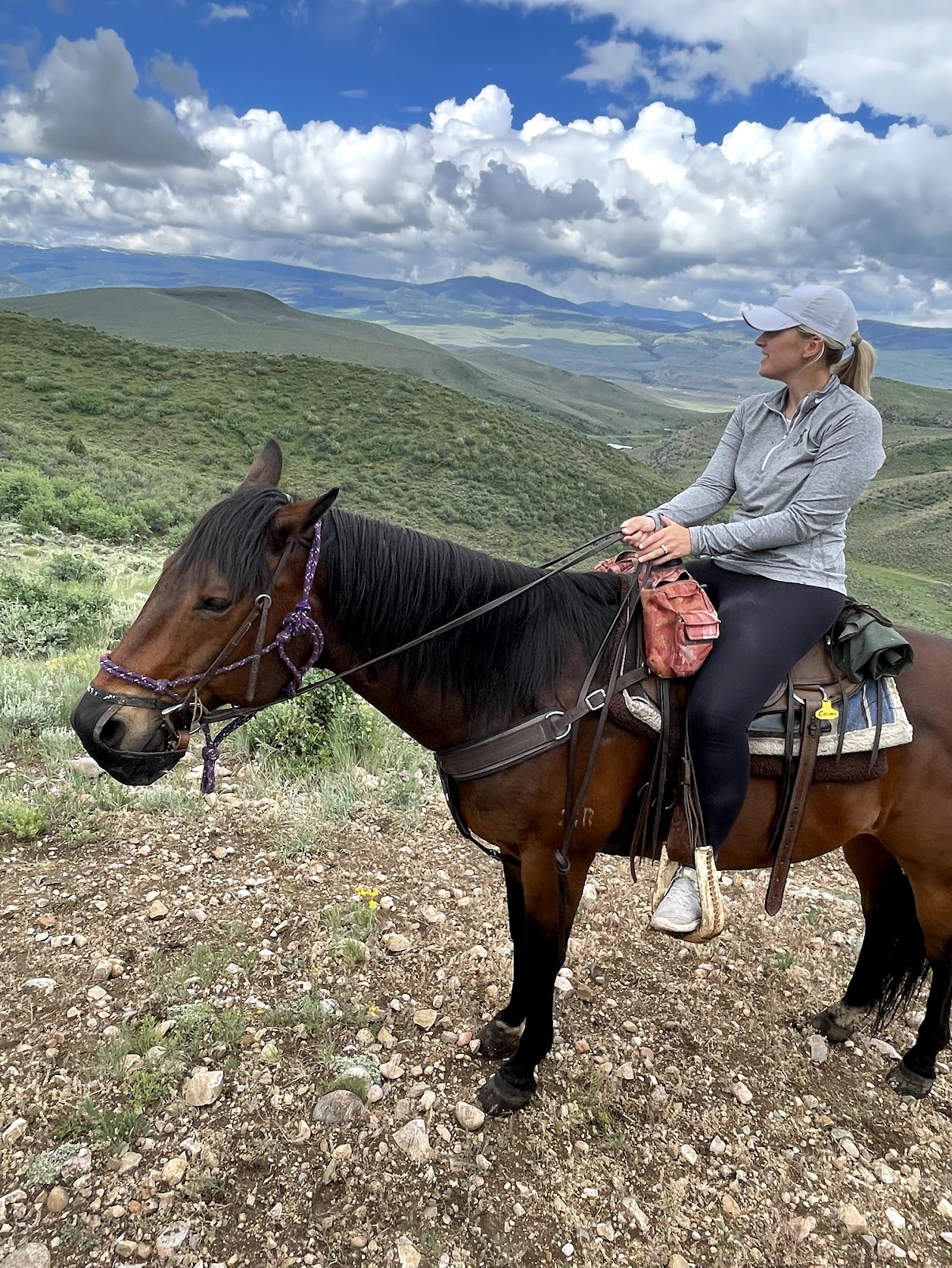 colorado horseback riding