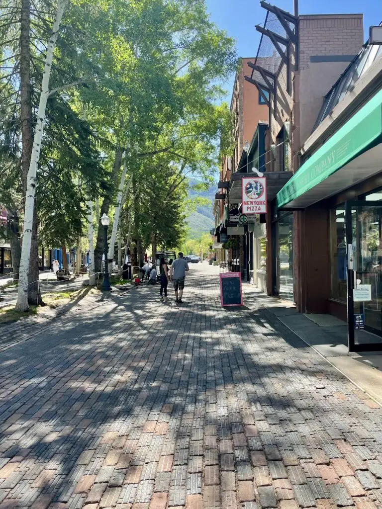 aspen in the summer