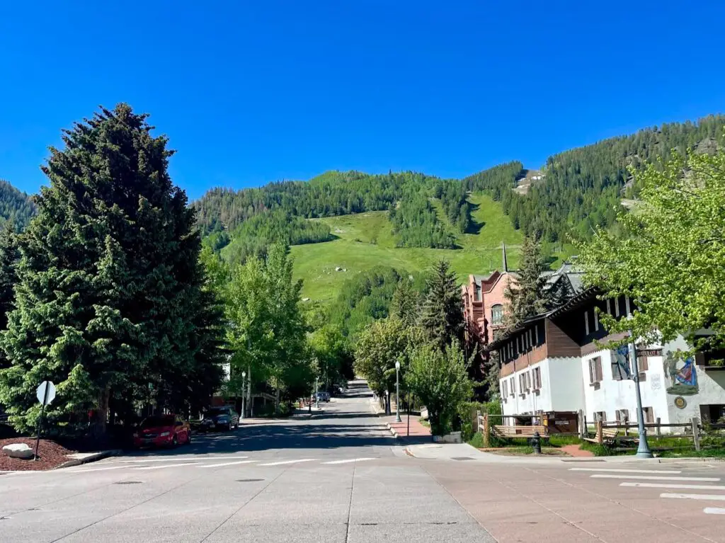 aspen in the summer