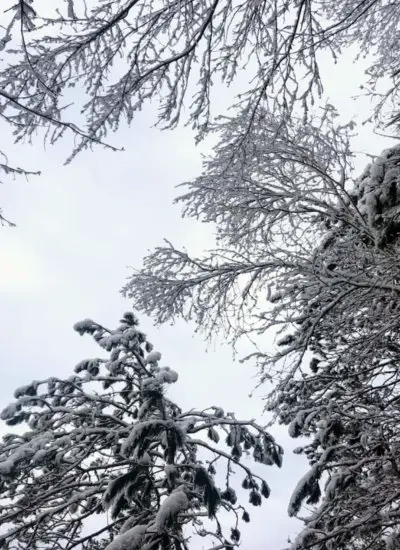 minnesota hikes during winter